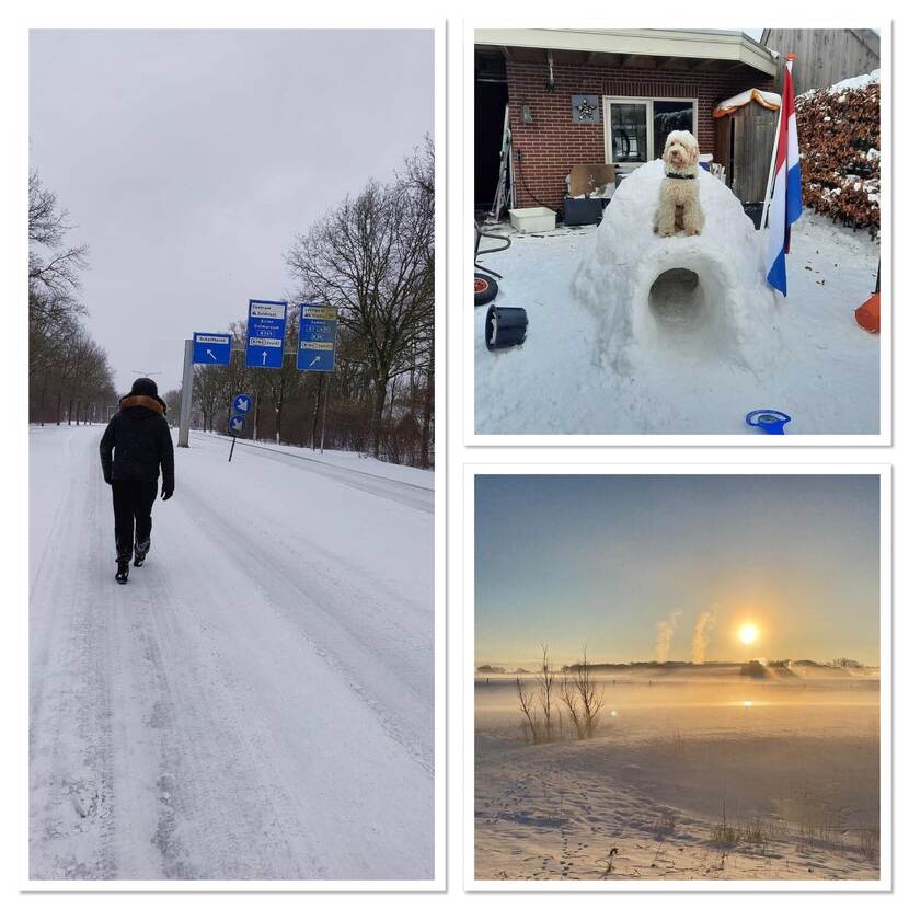 Fotocollage van winterse foto's